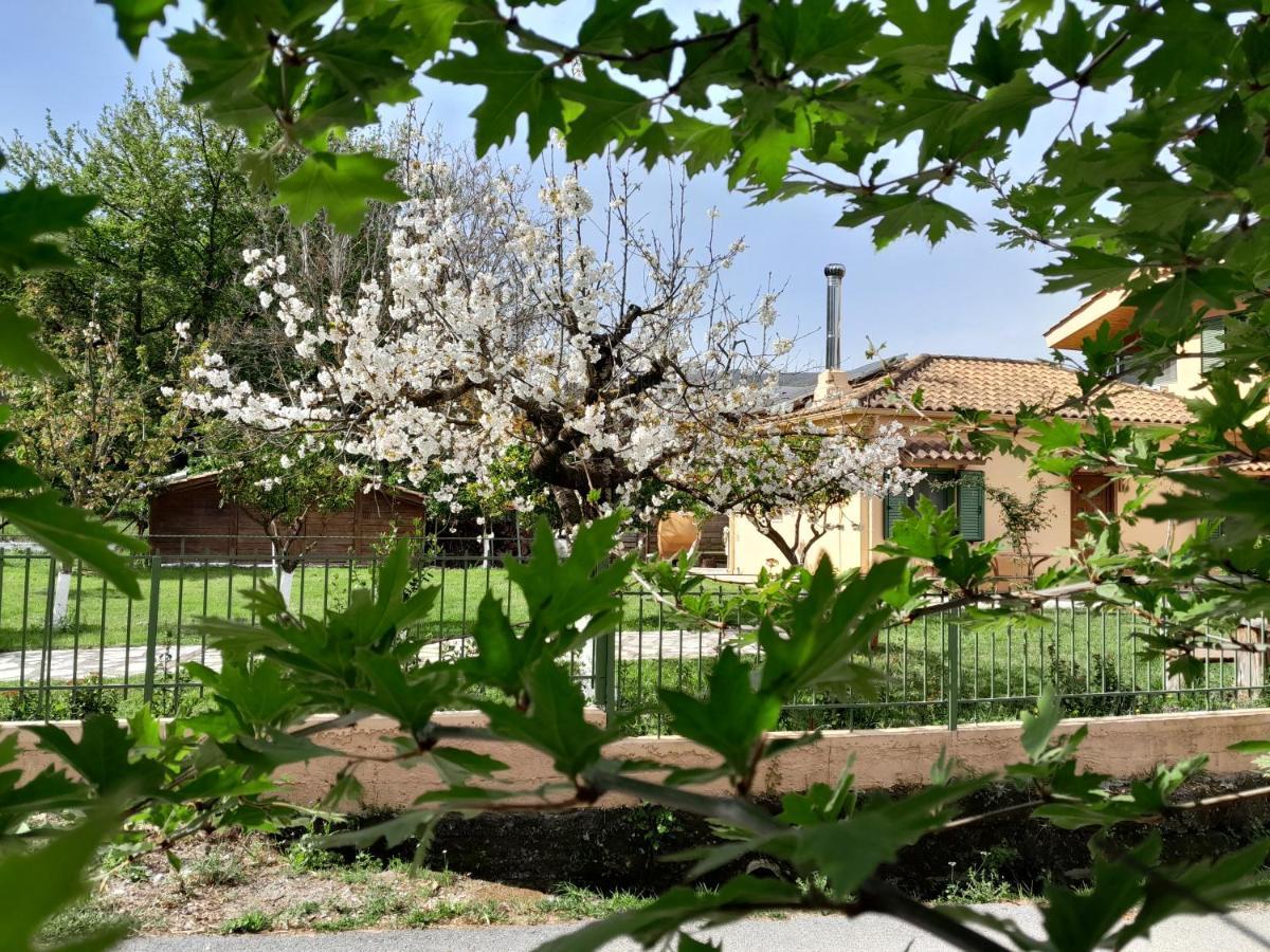The House