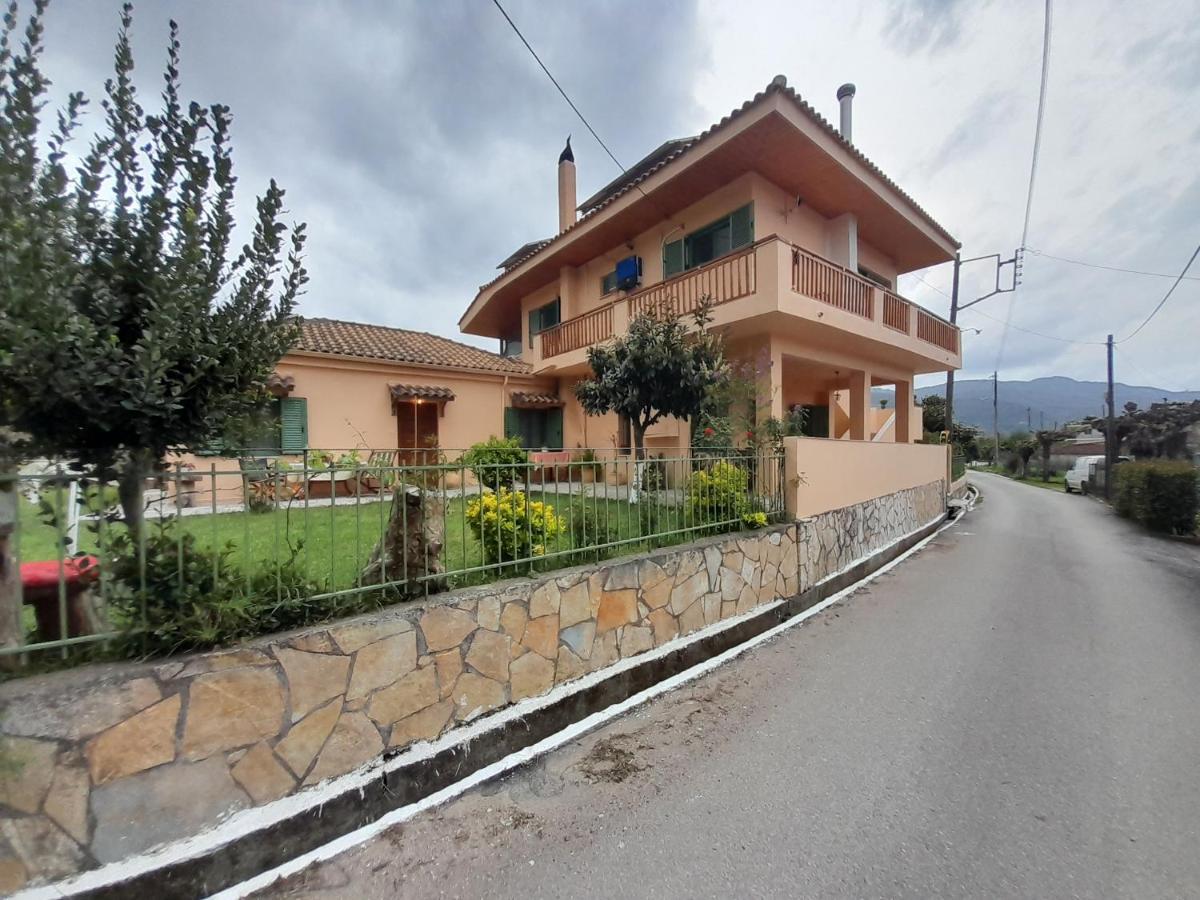The House